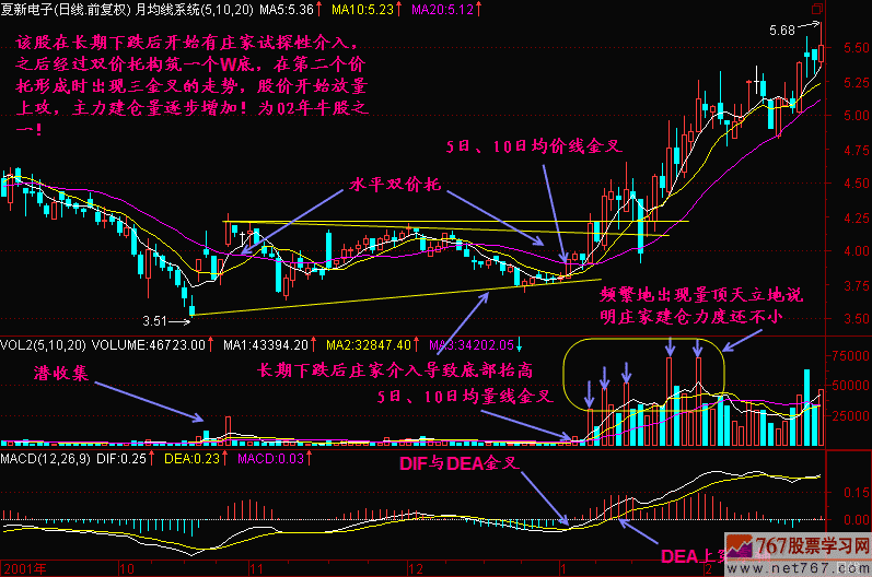 46.三金叉见底
