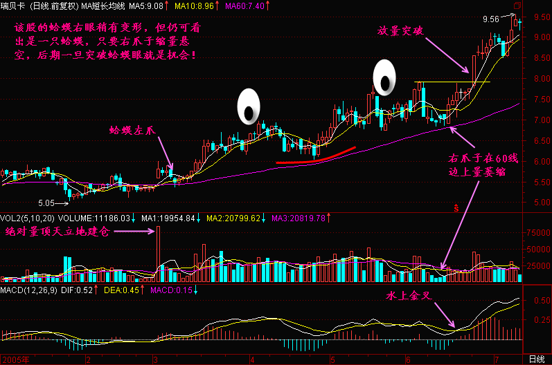 44.金蛤蟆