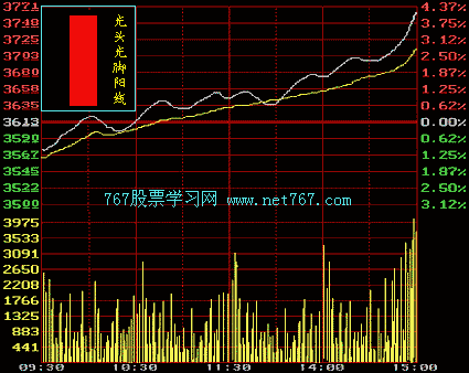 阳线和阴线