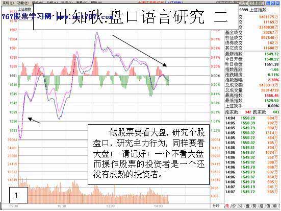 一叶知秋