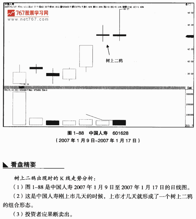树上二鸦