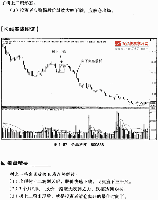 树上二鸦