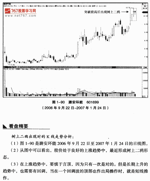 树上二鸦