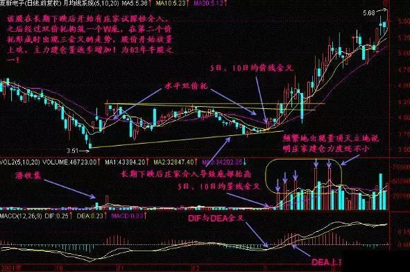 一位亏损百万老股民的告诫：我观察了1000个炒股赔了的人，基本都栽在MACD金叉死叉上，看懂持股不慌