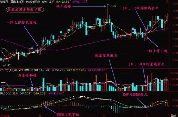 一位亏损百万老股民的告诫：我观察了1000个炒股赔了的人，基本都栽在MACD金叉死叉上，看懂持股不慌